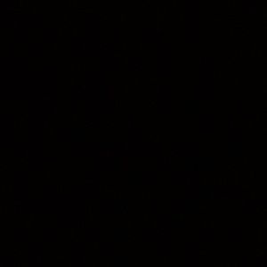 Meet your Posher, Will